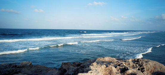 1671672517744909.png image.png