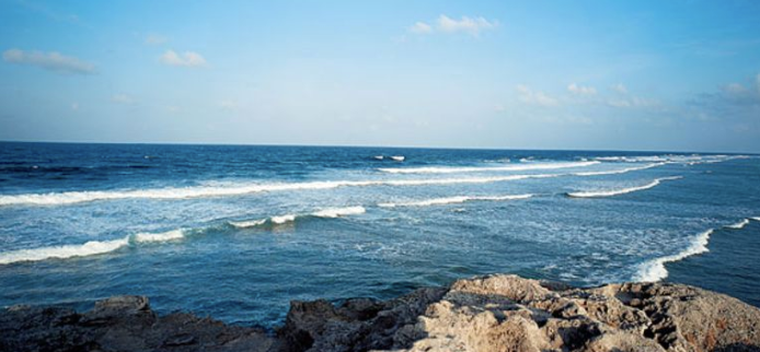 1679280654190645.png 圖片1.png