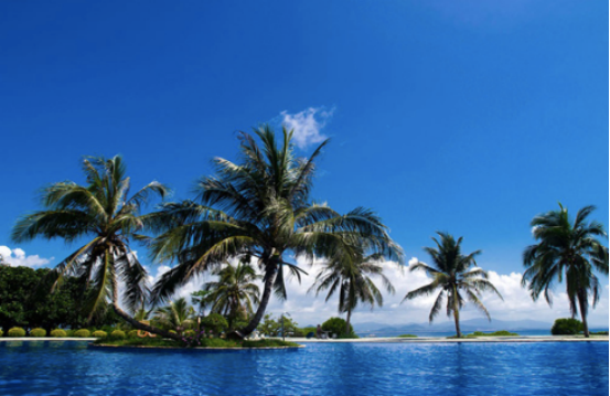 1686706808935103.png image.png