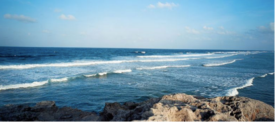 1686879677823431.png image.png