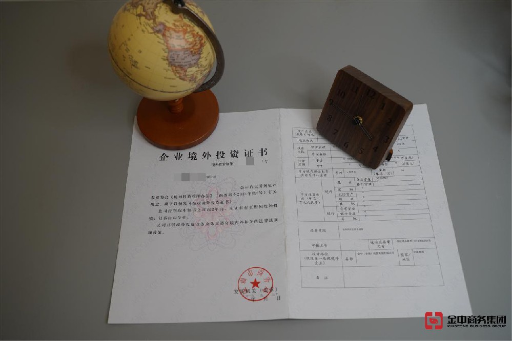 37號文登記 37號文登記