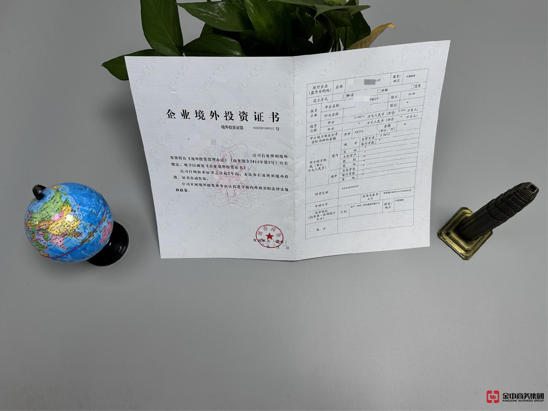 37號文登記 37號文登記