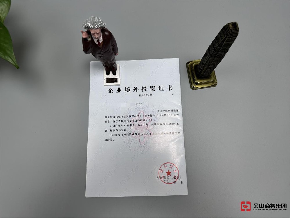 外國(guó)直接投資 外國(guó)直接投資